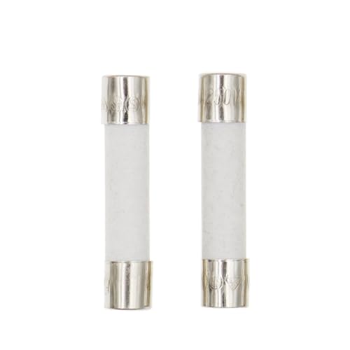 Fusible en céramique 6x30mm 25A tube de protection électrique 250V quick break