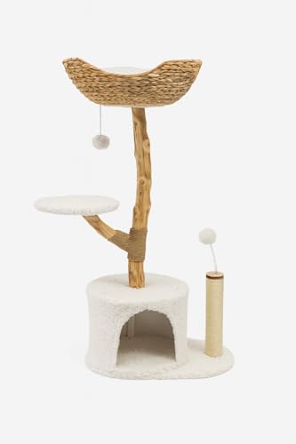 pLpAEbh_Lbgc[^[ ? }`x̃X^CbVȃLbgRh~jA DoXPbgAʂ݃NbVAXNb`|XgAA&AzCg