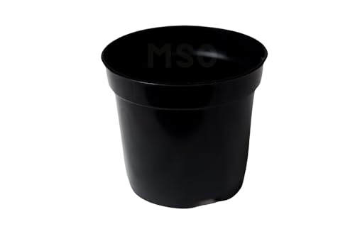 100 Vasinhos Coloridos Pote 6 De 80ml Castos E Suculentas lembrancinha (PRETO)