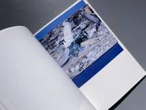 Amazon.co.jp: 光と影 川内倫子 | LIGHT and SHADOW RINKO KAWAUCHI