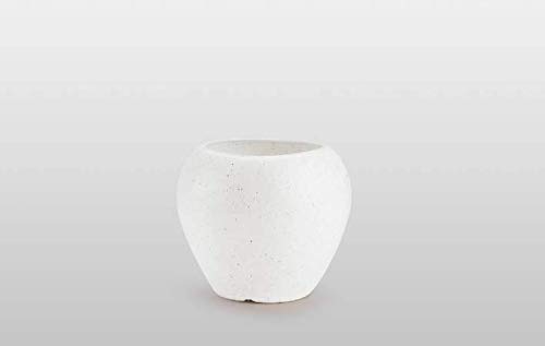 Gardens Need 100% Virgin Plastic Apple Pot-06| Set of 2 Planter, (9cm x 15.5cm x 23cm, White) (B084MMZ6TR) Amazon Price History, Amazon Price Tracker