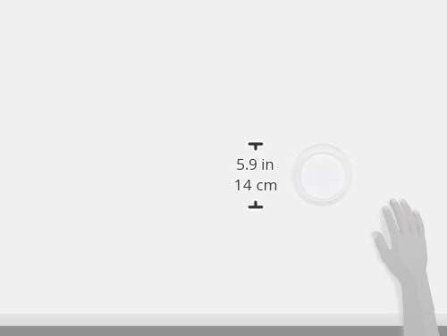 Iwasaki Kogyo Antibacterial Storage Container Screw Top Keeper 1200 Shallow Type Antibacterial B-2273KN