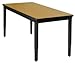 Lobo Tables LOB8069-FX 24 in. x 4 8 in. Fully Welded 44; Black Frame and Fixed Legs, 1 in. Phenolic Lab Top