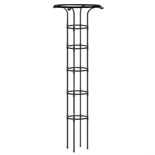 Treillis obélisque en métal pour plantes grimpantes, cadre de support vertical pour intérieur et extérieur, résistant aux intempéries (65 cm)