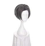 nine-tailed fox BKDZ Halloween Cosplay wig compatible with Phoenix Wright Ace Attorney Miles Edgeworth