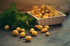 Sementes de Pimenta Guaraci Cumari do Pará Ardida Molhos Conservas Vasos Horta