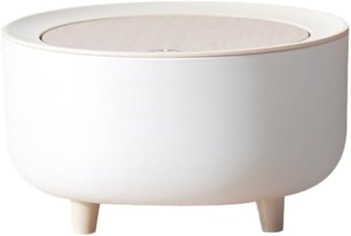 SLLS ؖڒTCN{bNX rfUC hh 蓮Jt^ eʕ ƃS~ (B)