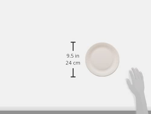 PAPSTAR #11185 Paper Plates/Snack Plates White Round Pure Pack of 100 Diameter 23 cm 100% Fresh Fibre Cardboard Biodegradable