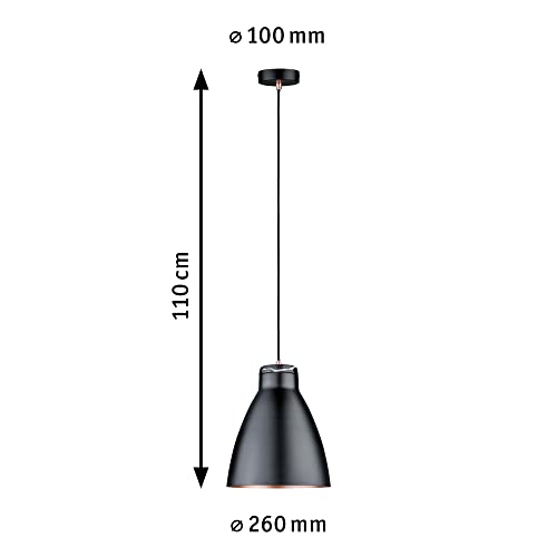 Paulmann Lampada A Sospensione Roald A 1 Luce - 4