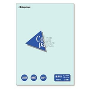 (業務用10セット)Nagatoya カラーペーパー/コピー用紙 〔A4/最厚口 25枚〕 両面印刷対応 水