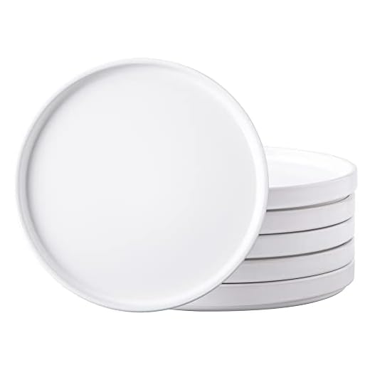 AmorArc Ceramic Dinner Plates Set of 6,10.0 Inch Matte Stoneware Plates Set
