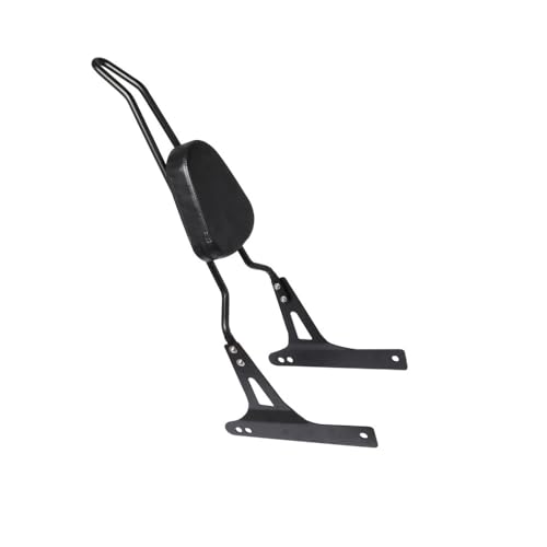 Sissy bar détachable Dyna de qualité supérieure pour modèles Low Rider et Glide 06-17