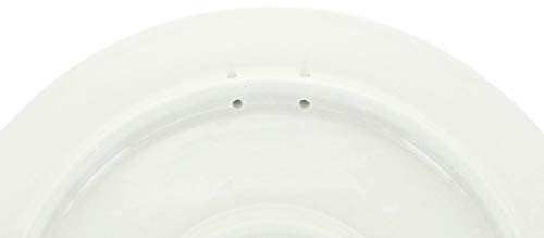 Blue-Rose-Polish-Pottery-Callista-Dinner-Plate