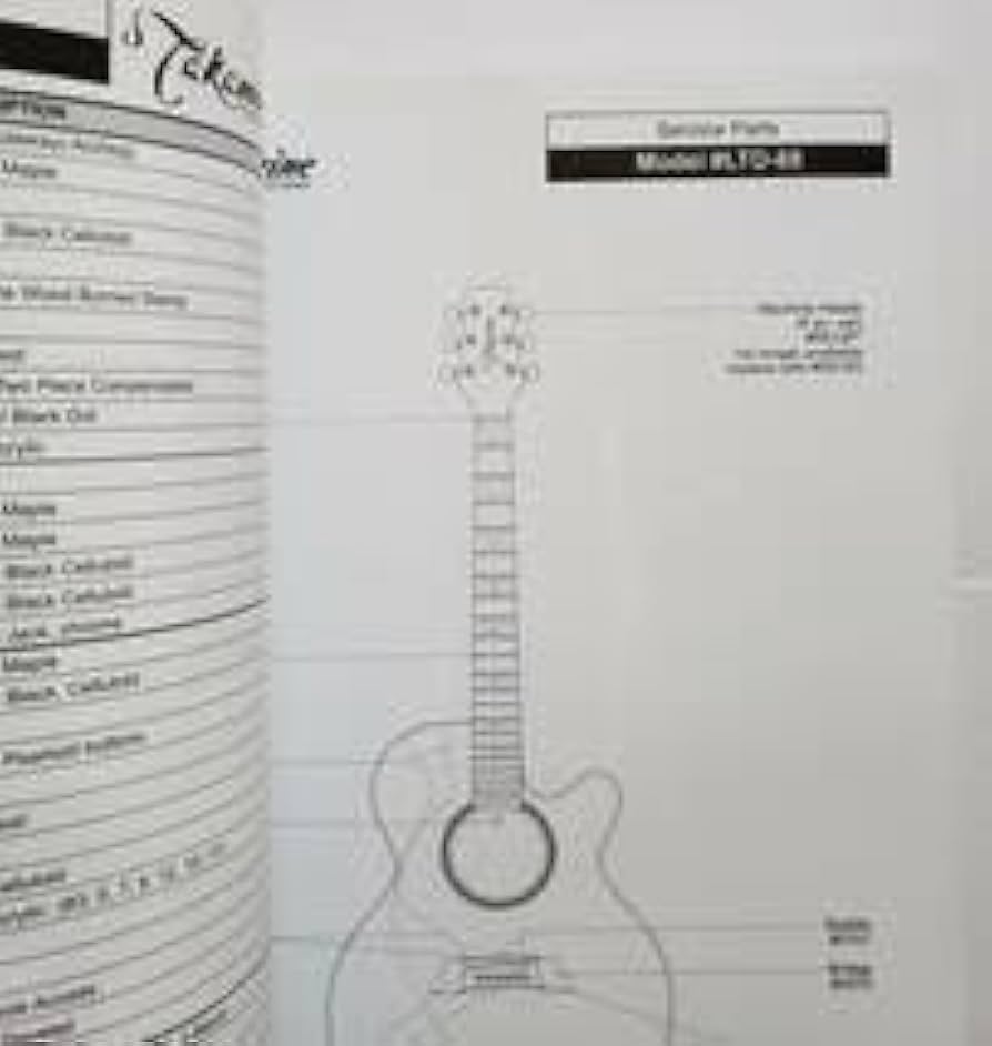 THE ART OF WOOD AND TONE【タカミネギター　洋書】 Amazon.co.jp: ◎ THE ART OF WOOD AND TONE Takamine LIMITED