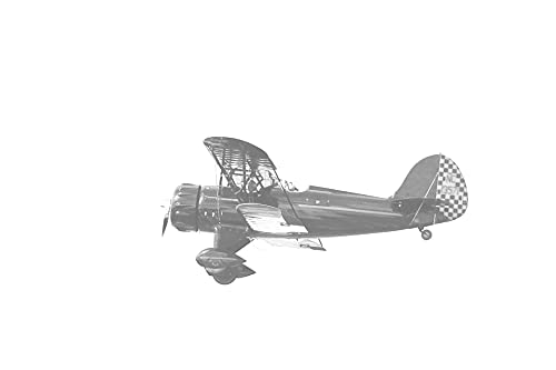 Elly Beinhorn, Flugpionierin
