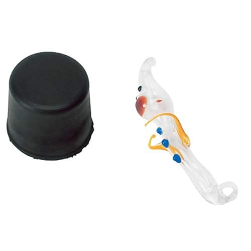 3B Scientific U14090 Cartesischer Taucher