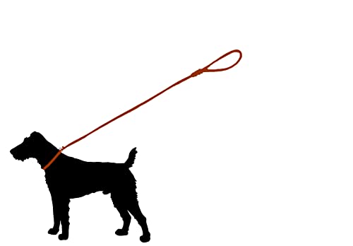 Hundeleine Fettleder Agility/Retrieverleine mit Zugstopp/Moxonleine für kleine Hunde/große Hunde (1,30m X 15mm, Braun)