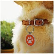 Pets Empire ID Tags Paw and Bone Shape Pet Collar Pendant for Kitten Puppy (Colour May Vary, Free Size) -Pack of 2