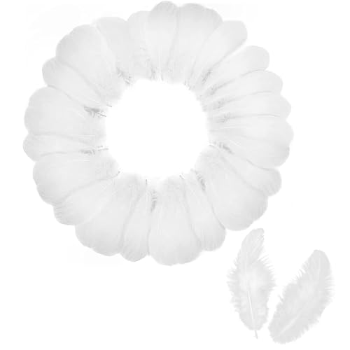 Siliget 150 Pcs White Feathers for Crafts 5-8cm Feathers Bulk Natural Goose Feathers for DIY Dream Catcher Wedding/Party Decorations Supplies