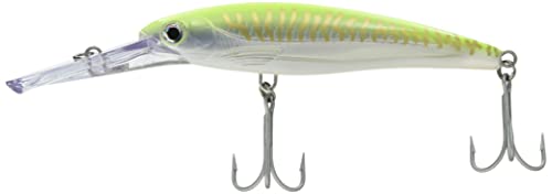 Rapala(p) ~m[ Xbv }Oi 18cm 97g zbg`[gUV HCHU XR40MAG-HCHU A[