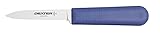 Dexter Russell S104P-PCP Sani-Safe 15303P Cook’s Paring Knife, 3-1/4" High Carbon Stain-Free Steel Blade, Non-Slip Purple Polypropylene Handle, Spear Point Small Utility Knife, NSF, Made in USA