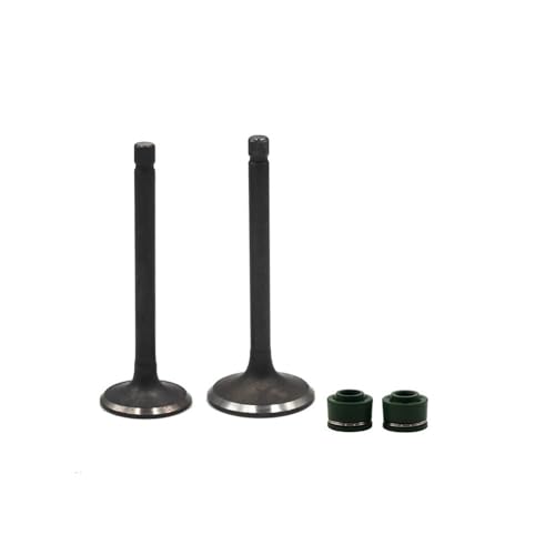 Kit tige de soupape et joint d'huile pour moto SRV250 XV250 XC125 XV125