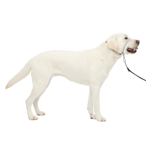 PetSafe Gentle Leader No-Pull Dog Headcollar - The Ultimate Solution to Pulling - Redirects Your...