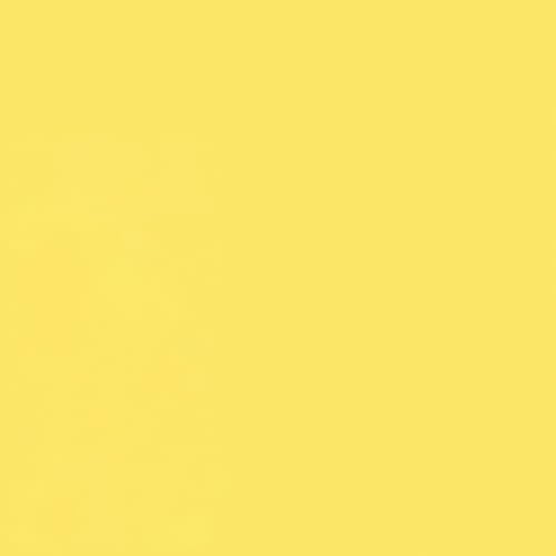 Image of Rust-Oleum 266577-6PK Professional 2X Distance Inverted Marking Spray Paint, High Visibility Yellow, 15 Ounce (Pack of 6)