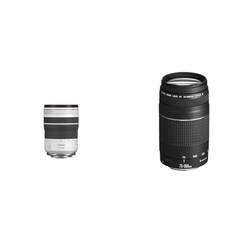 Canon RF 70-200mm F4L is USM Objektiv & EF 75-300mm F4.0-5.6 III Zoomobjektiv (58mm Filtergewinde) schwarz