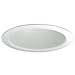 Nora Lighting NTM-526N-Nat. Metal Airtight Baffle Lensless Shower, Nat. Metal Self Flanged