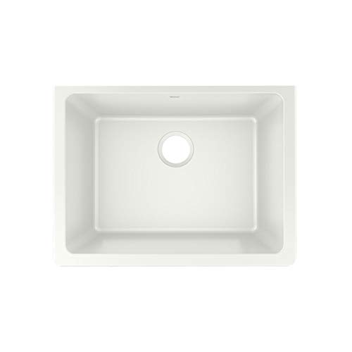 Quartz Luxe 25" x 18.5" Single Bowl Dual Mount Kitchen Sink Finish: Parchment