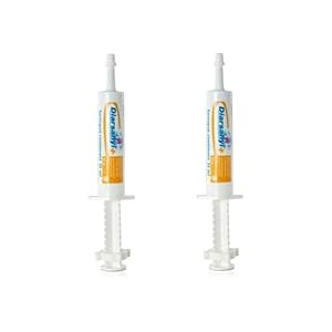 Diarsanyl Plus Paste 2 x 24 ml für Tiere
