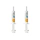 Diarsanyl Plus | Doppelpack | 2 x 24 ml Injektor | Paste zum Eingeben in das Maul | Kann zur Linderung akuter Resorptionsstörungen des Darms bei Katzen und Hunden beitragen