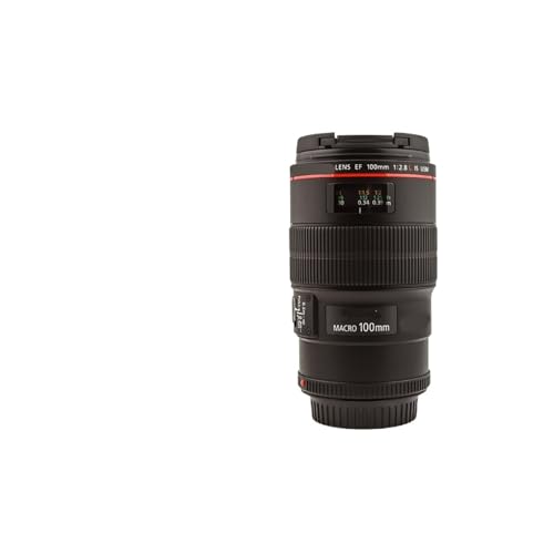 Ultimate Review of the AF 35-150mm F2-2.8 Lens for Sony E L Mount Cameras