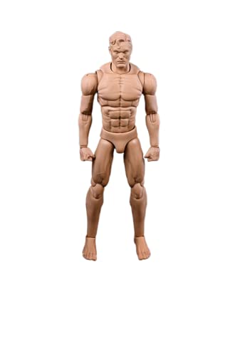 Figurine d'action masculine AMITD 1/12 pour dessiner l'anatomie humaine en volume