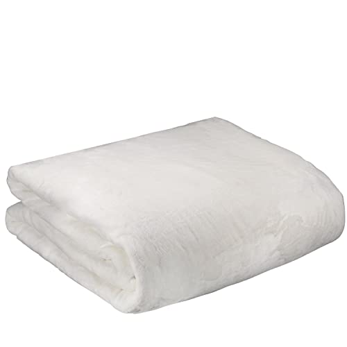 Soft Plush Weighted Blanket 15 Pound with Machine Washable Ultra-Soft Fabric Cover (Cream White)