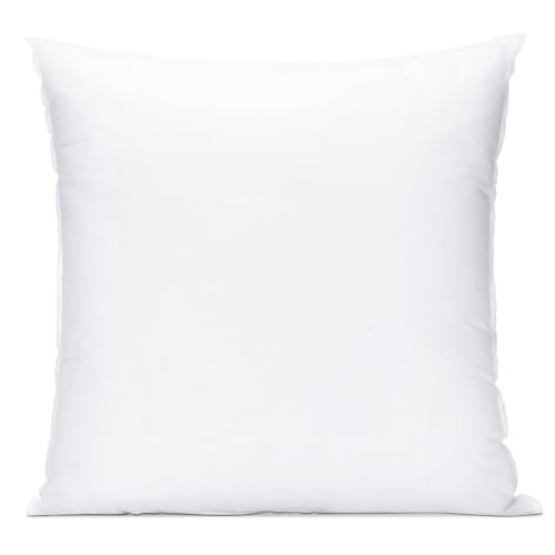 Ohok BZX-WFB Throw Pillow Insert 20X20 Inch Square Cushion Inner Soft Fluffy Plump Stuffer Cushion Pad White Decorative Pillow Insert thumb #1