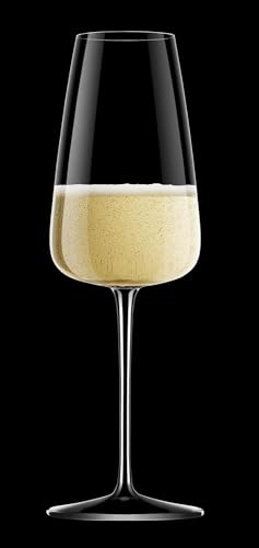 Luigi Bormioli Talismano 13.25 oz. Champagne/Prosecco Wine Stem, Set of4