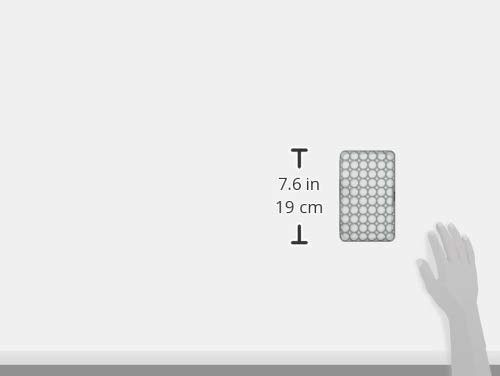 Fronha Prince Lionheart Ever Fresh