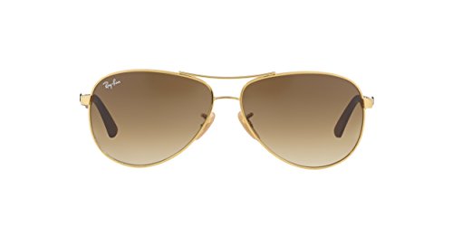 Ray-Ban Sunglasses RB 8313 001/51 Arista Clear Gradient Brown2