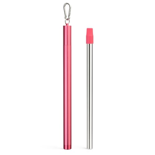 Sursip Water Filter Straw Reusable Stainless Steel Portable Outdoor Emergency Survival Gear for...