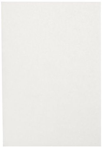 Sax Sulphite Drawing Paper, 70 Lb, 12 X 18 Inches, Extra-White, Pack Of 500 #TOP27