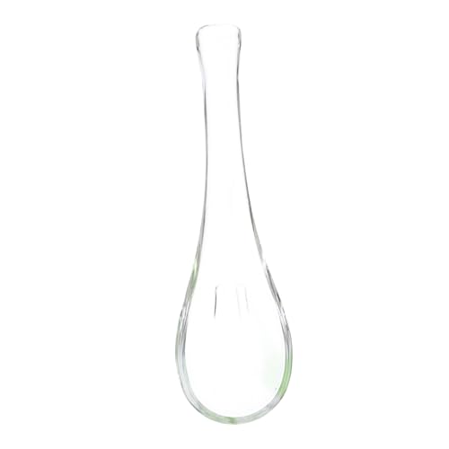 Alipis Heat Resistant Glass Spoon Ergonomic Grip Dessert Spoon for Soups Yogurt and Hot Chocolate Reusable Kitchen Essential for Serving Clear Design for Modern Elegance