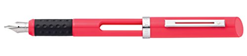 Stylo-plume Sheaffer Viewpoint Calligraphy rose à pointe fine idéal pour correspondances et carnets