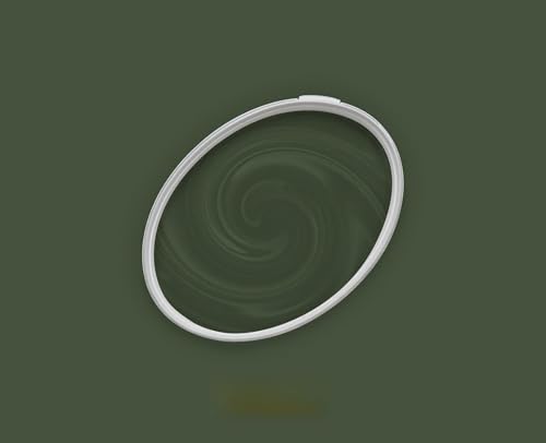 BRICOFLOR Dunkelgrüne Wandfarbe matt für Wohnzimmer und Schlafzimmer Innen Farbe seidenmatt in 2,5 und 5 l sehr gut deckend