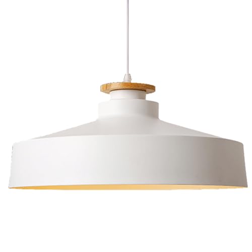 Lampe suspendue E27 style industriel pour l'éclairage de votre restaurant