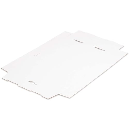kartonprimus Maxibriefkartons 240 x 160 x 45 mm MB-3 weiß Maxibrief Karton Faltschachtel stabil Versandkarton für Post DHL Versand DIN A5 Warensendung Büchersendung Versandschachtel (25 Stück)