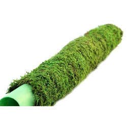 Green Paradise® Coco Pole - Moss Stick for Indoor,House & Money Plant Support (1 Feet) - 3 Pieces