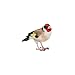 Rivanto® Vogelfigur Stieglitz, authentische Tierfigur aus Kunststoff, ca. 8,5 cm, Gartendekoration