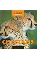 Library Binding Cheetahs Book